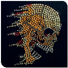 Niky Strassz Hal�lfej