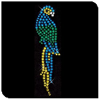 Niky Strassz - k�k papag�j